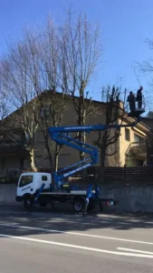 Sicherer Baumschnitt mit Hebebühne – Ameisli in Würenlos im Einsatz