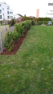 Neu bepflanzte Gartenfläche mit Mulch – ein Projekt von Ameisli in Würenlos