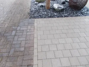 Professionell gereinigte Pflastersteine – Ameisli in Würenlos
